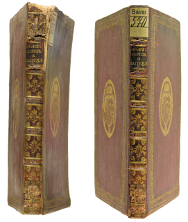 Liniks: Roter Ganzlederband mit Rücken- und Deckelprägung und Schimmelschaden. Rechts: Der selbe Band nach der Restaurierung.